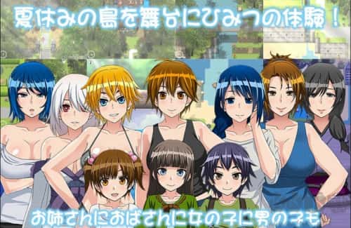 我的秘密暑假2封面